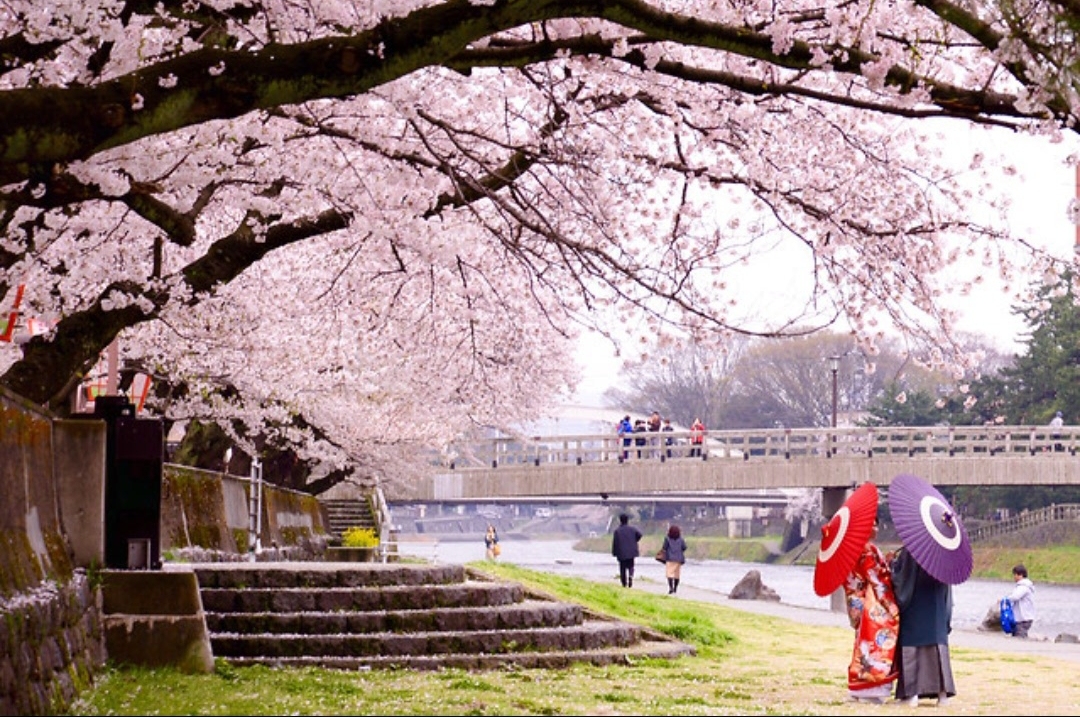 Tour du lịch Nhật Bản : Tokyo - FuJi - Yamanashi ( 4N3Đ)