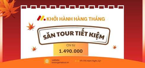 Lịch khởi hành hàng tuần