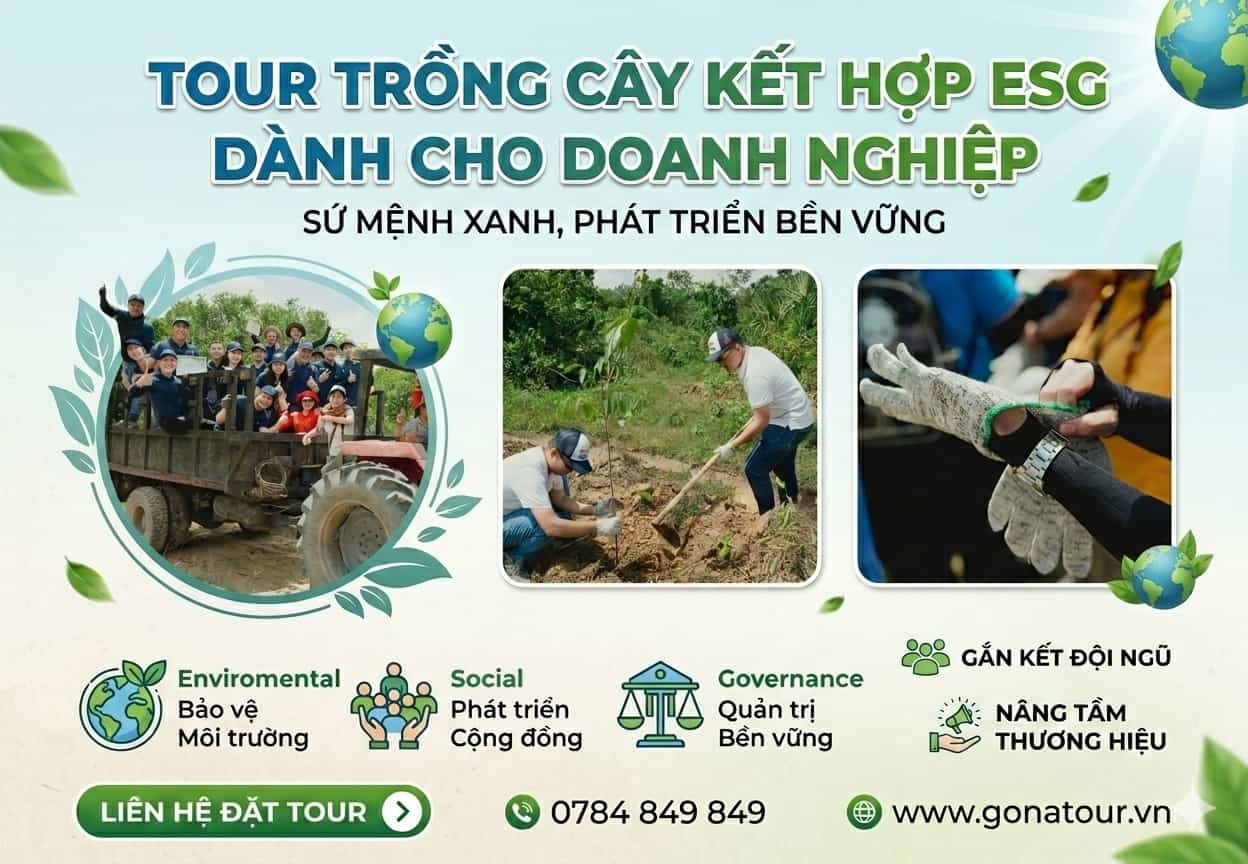 Tour Trồng cây kết hợp ESG dành cho khách doanh nghiệp